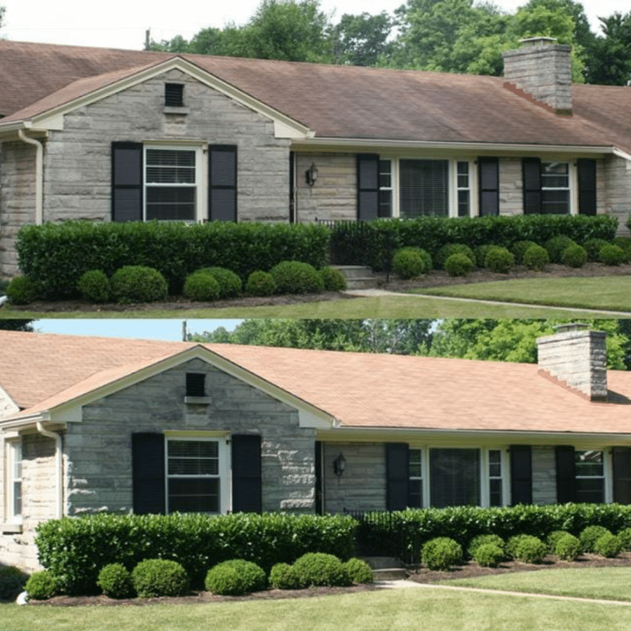 proclean asphalt roof cleaning